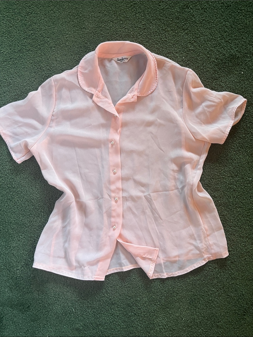 Vintage Light Pink Sheer Short Sleeve Blouse